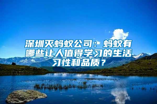 深圳滅螞蟻公司：螞蟻有哪些讓人值得學習的生活習性和品質？