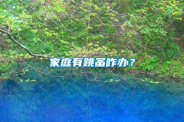 家庭有跳蚤咋辦?