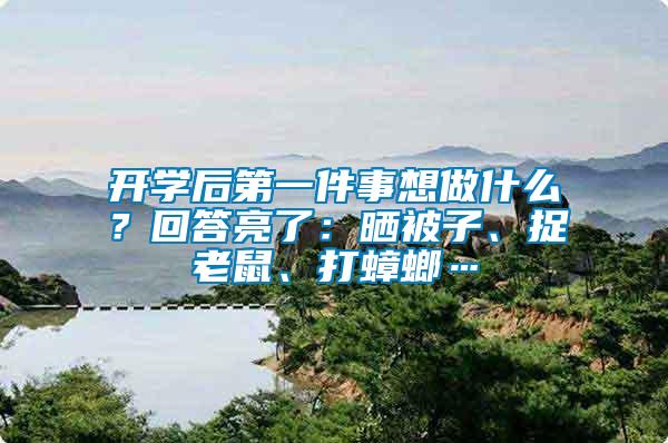 開學后第一件事想做什么？回答亮了：曬被子、捉老鼠、打蟑螂…