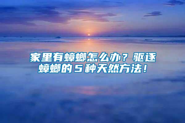 家里有蟑螂怎么辦？驅逐蟑螂的５種天然方法！