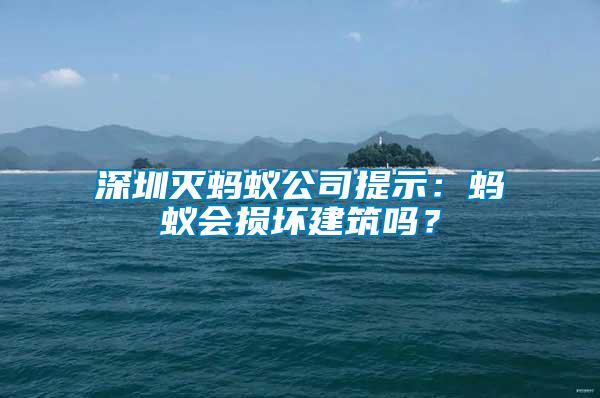 深圳滅螞蟻公司提示：螞蟻會(huì)損壞建筑嗎？