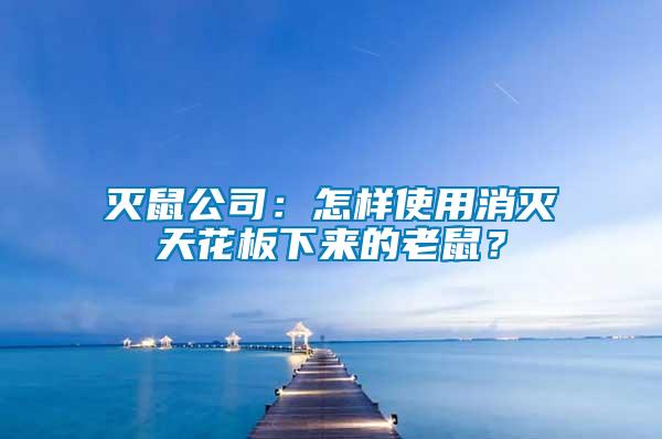 滅鼠公司：怎樣使用消滅天花板下來的老鼠？