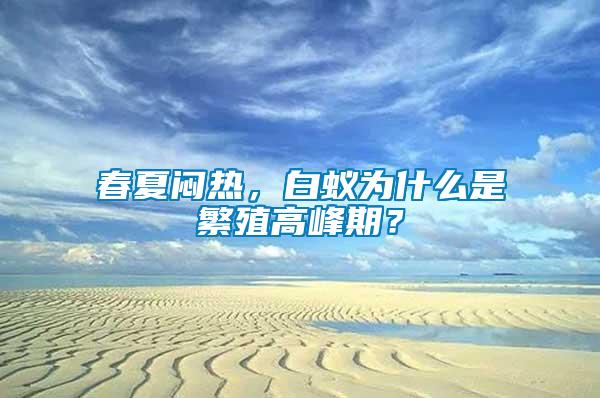 春夏悶熱，白蟻為什么是繁殖高峰期？