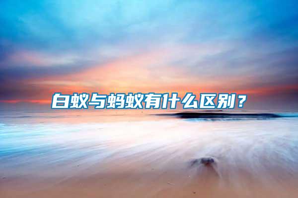 白蟻與螞蟻有什么區別？