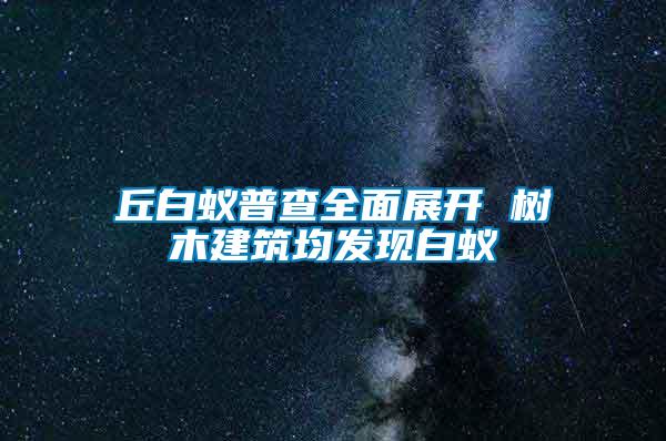 丘白蟻普查全面展開 樹木建筑均發(fā)現(xiàn)白蟻