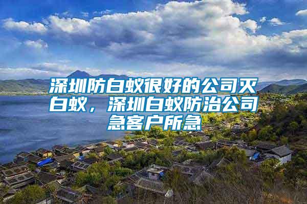 深圳防白蟻很好的公司滅白蟻，深圳白蟻防治公司急客戶所急