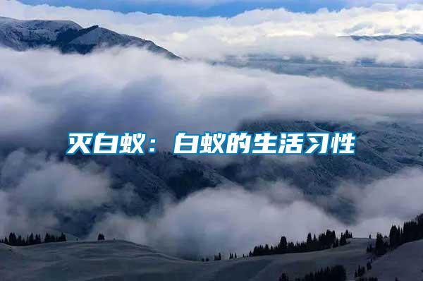 滅白蟻：白蟻的生活習性