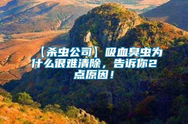 【殺蟲公司】吸血臭蟲為什么很難清除，告訴你2點原因！