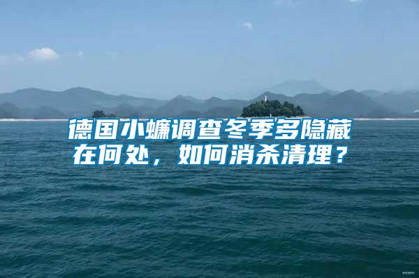 德國小蠊調查冬季多隱藏在何處，如何消殺清理？