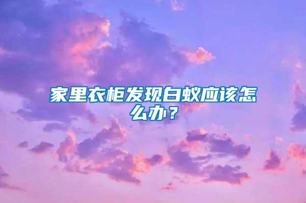 家里衣柜發現白蟻應該怎么辦?