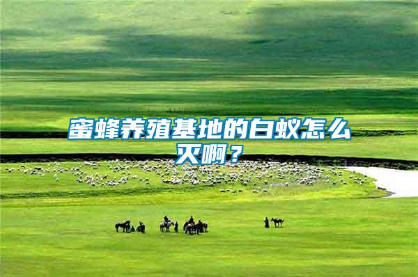 蜜蜂養(yǎng)殖基地的白蟻怎么滅啊？