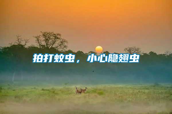 拍打蚊蟲，小心隱翅蟲