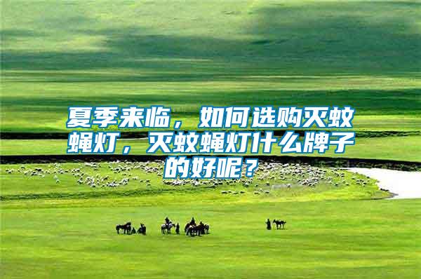 夏季來臨，如何選購滅蚊蠅燈，滅蚊蠅燈什么牌子的好呢？