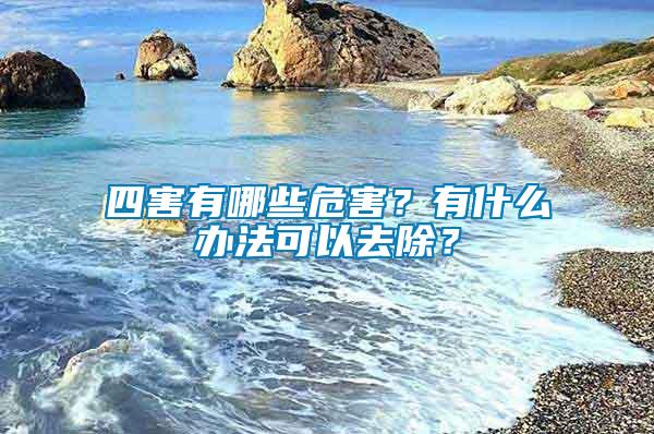 四害有哪些危害？有什么辦法可以去除？