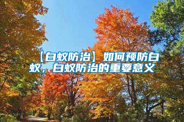 【白蟻防治】如何預防白蟻，白蟻防治的重要意義