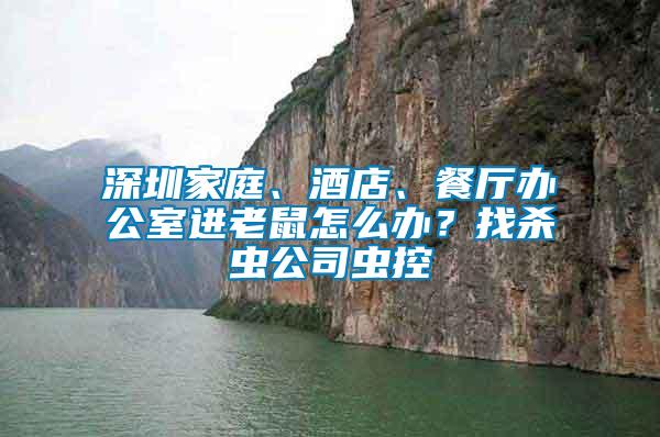 深圳家庭、酒店、餐廳辦公室進老鼠怎么辦？找殺蟲公司蟲控