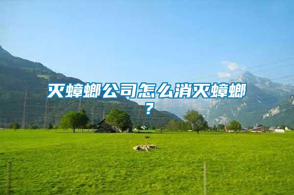 滅蟑螂公司怎么消滅蟑螂？