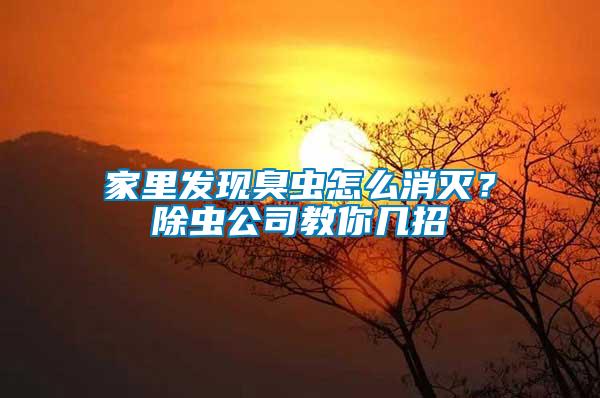 家里發現臭蟲怎么消滅？除蟲公司教你幾招