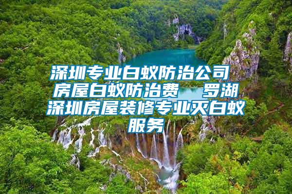 深圳專業(yè)白蟻防治公司 房屋白蟻防治費  羅湖深圳房屋裝修專業(yè)滅白蟻服務