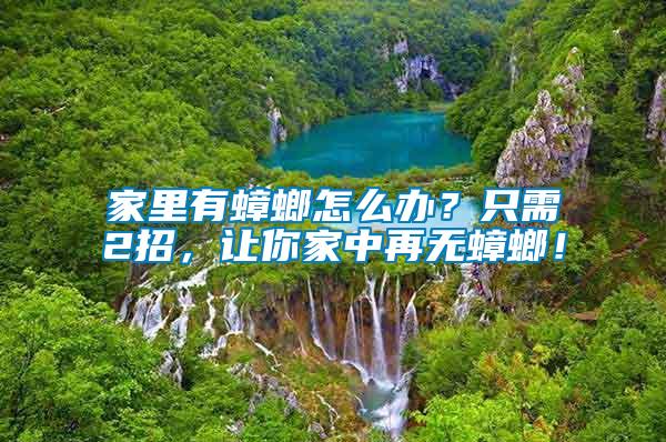 家里有蟑螂怎么辦？只需2招，讓你家中再無蟑螂！