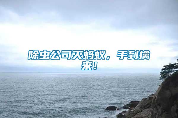 除蟲公司滅螞蟻，手到擒來！