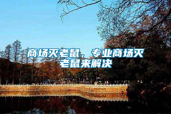 商場(chǎng)滅老鼠，專業(yè)商場(chǎng)滅老鼠來解決