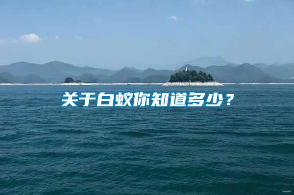 關于白蟻你知道多少？