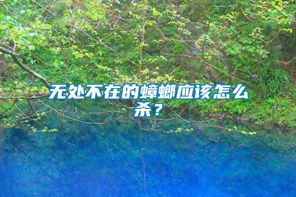 無處不在的蟑螂應該怎么殺？