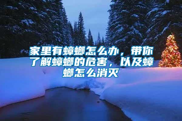 家里有蟑螂怎么辦，帶你了解蟑螂的危害，以及蟑螂怎么消滅