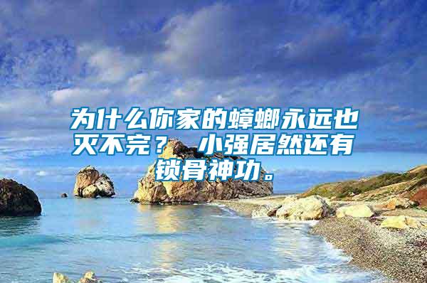 為什么你家的蟑螂永遠(yuǎn)也滅不完？ 小強(qiáng)居然還有鎖骨神功。