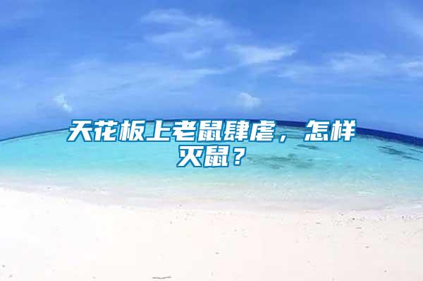 天花板上老鼠肆虐，怎樣滅鼠？