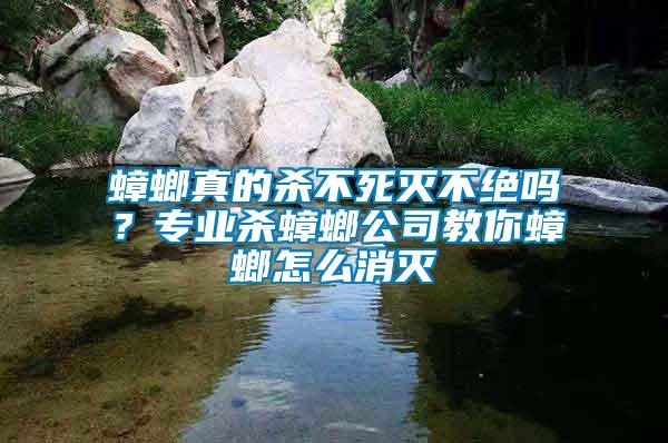蟑螂真的殺不死滅不絕嗎？專業殺蟑螂公司教你蟑螂怎么消滅