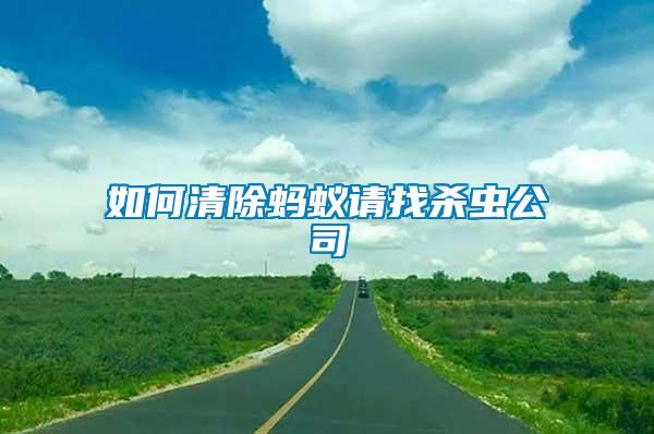 如何清除螞蟻請(qǐng)找殺蟲公司