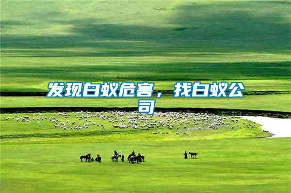 發現白蟻危害，找白蟻公司