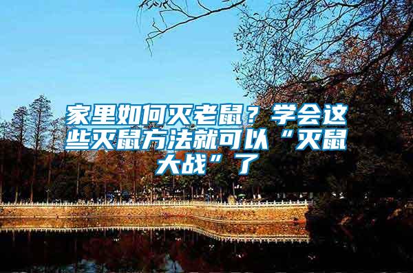 家里如何滅老鼠？學會這些滅鼠方法就可以“滅鼠大戰”了