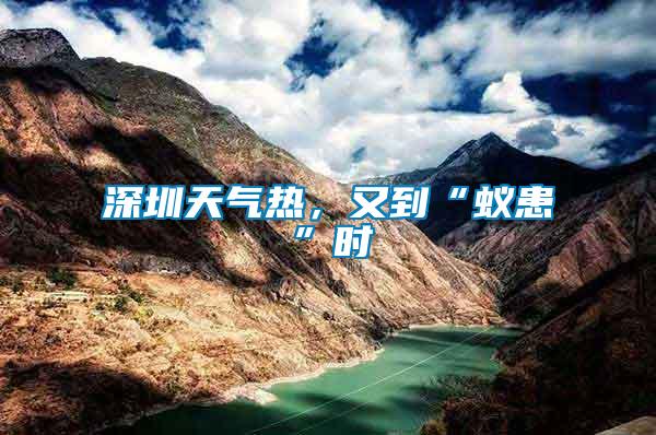 深圳天氣熱，又到“蟻患”時