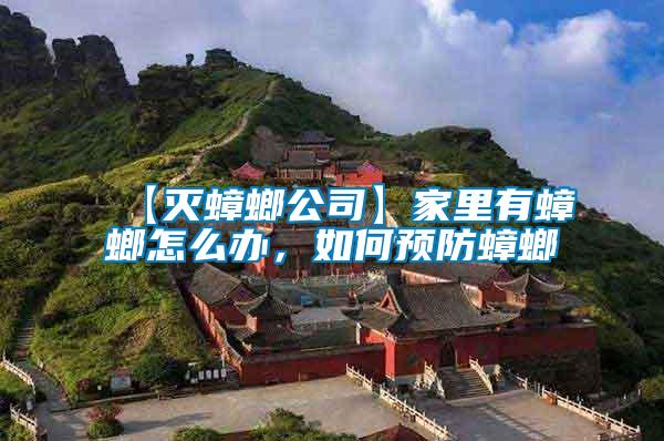【滅蟑螂公司】家里有蟑螂怎么辦，如何預(yù)防蟑螂