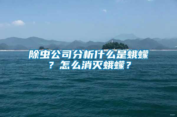 除蟲公司分析什么是蛾蠓？怎么消滅蛾蠓？