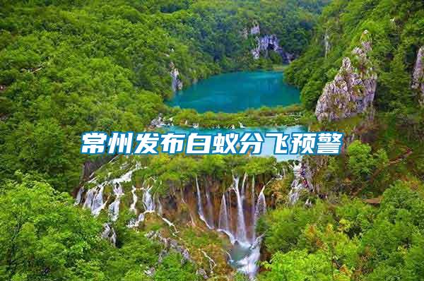 常州發(fā)布白蟻分飛預警