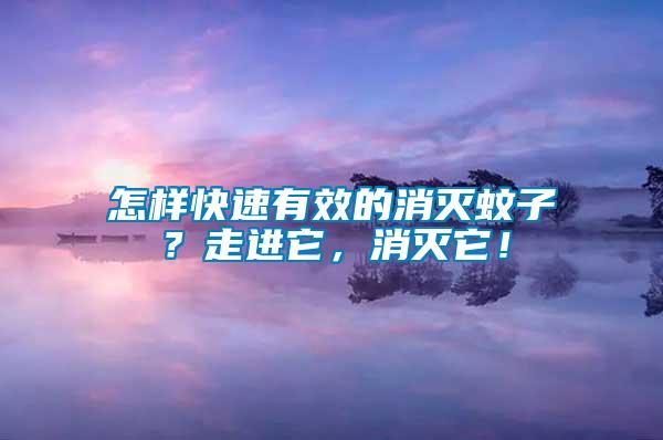 怎樣快速有效的消滅蚊子？走進它，消滅它！