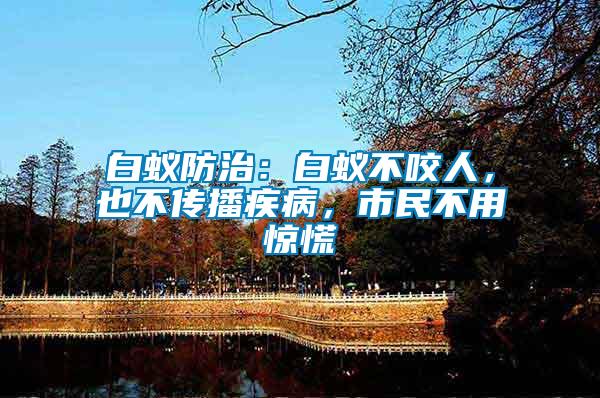 白蟻防治：白蟻不咬人，也不傳播疾病，市民不用驚慌