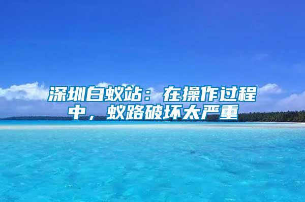 深圳白蟻站：在操作過程中，蟻路破壞太嚴重