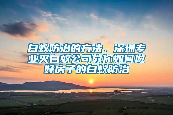 白蟻防治的方法，深圳專業滅白蟻公司教你如何做好房子的白蟻防治