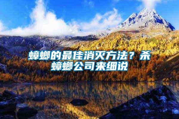 蟑螂的最佳消滅方法？殺蟑螂公司來細說
