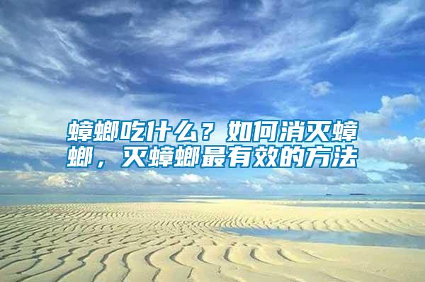蟑螂吃什么？如何消滅蟑螂，滅蟑螂最有效的方法