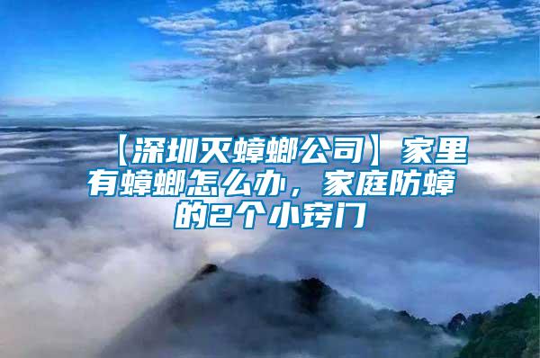 【深圳滅蟑螂公司】家里有蟑螂怎么辦，家庭防蟑的2個小竅門