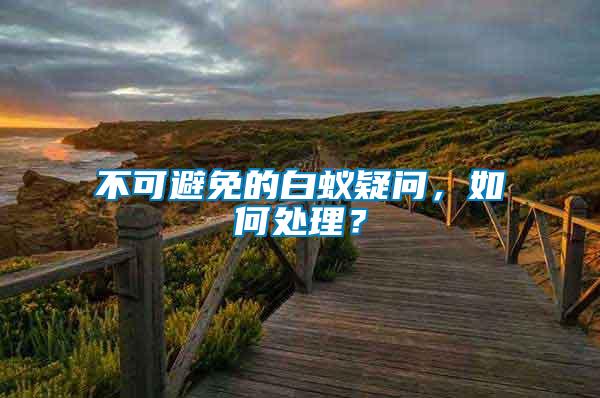 不可避免的白蟻疑問，如何處理？