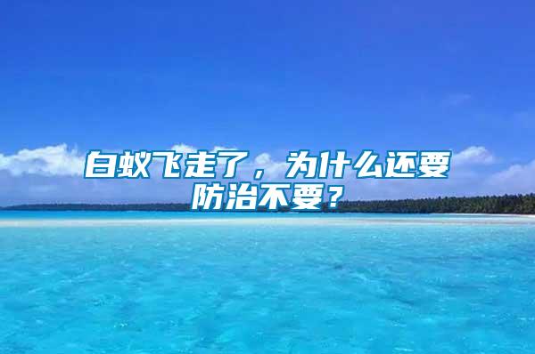 白蟻飛走了，為什么還要防治不要？