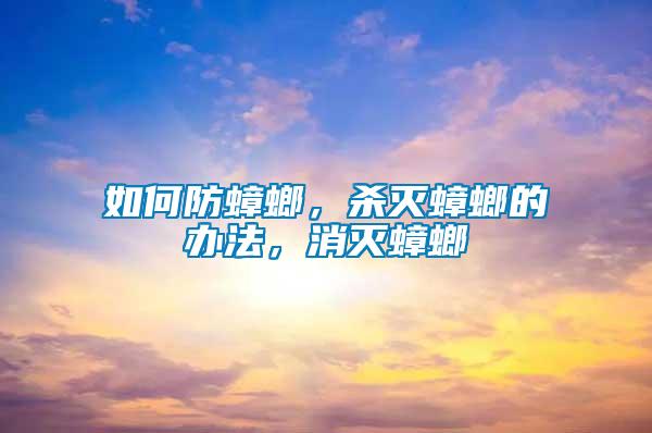 如何防蟑螂，殺滅蟑螂的辦法，消滅蟑螂