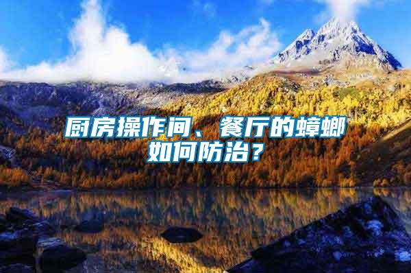 廚房操作間、餐廳的蟑螂如何防治？
